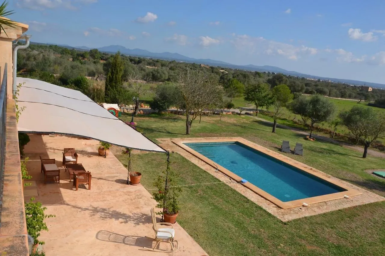 Son Fred Campos Villa Spain
